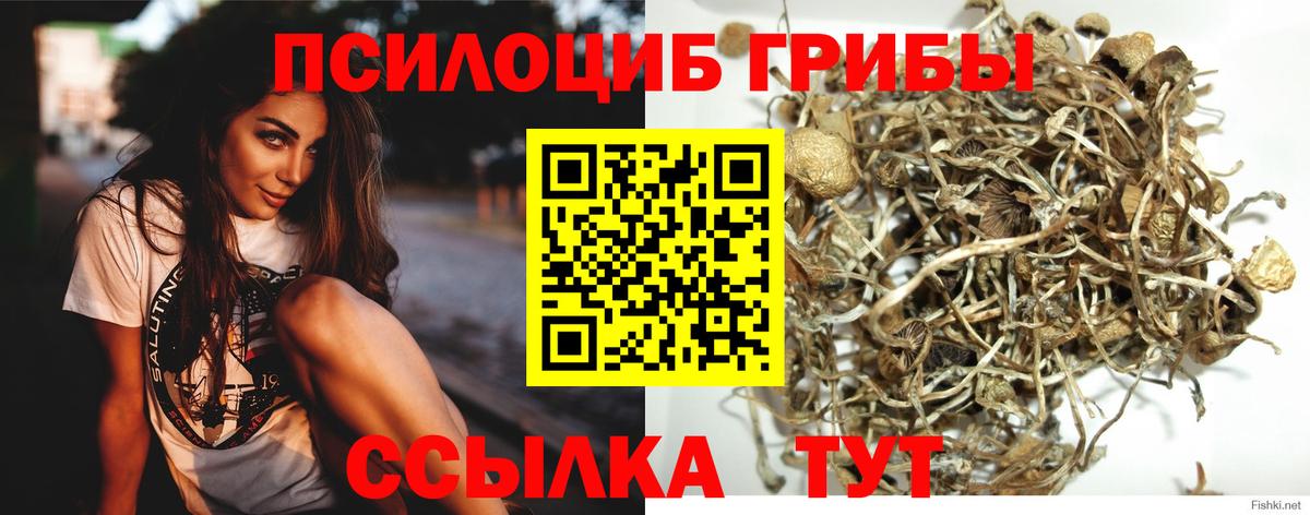 Кузнецк  Галлюциногенные грибы GOLDEN TEACHER  Вход с VPN  Псилоцибиновые грибы Magic Shrooms 