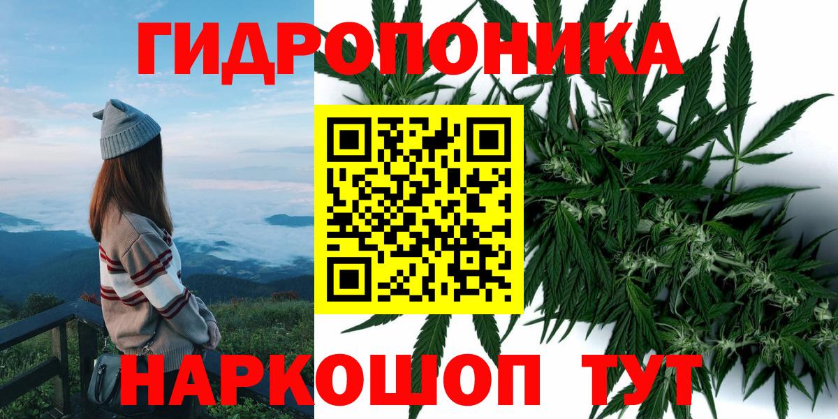 Бошки марихуана Bruce Banner Кузнецк